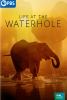 Go to record Life at the waterhole